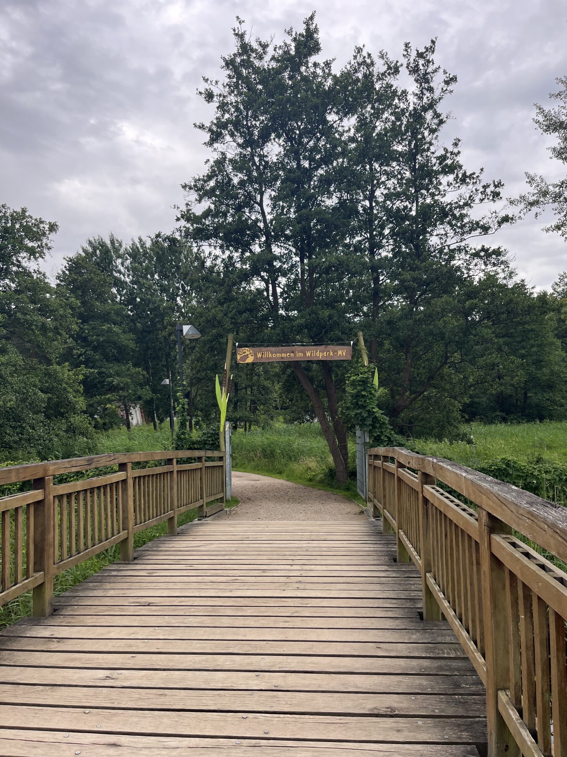 Wandertag der 6. Klassen in den Natur- und Umweltpark Güstrow